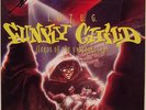 Lords Of The Underground / Funky Child