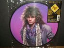 BON JOVI - Slippery When Wet LP picture disc NEW