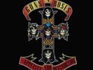 Guns N' Roses-Appetite for Destruction  (UK IMPORT)  Vinyl / 12