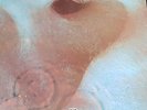 Pink Floyd - Meddle - Vinyl Neuwertig - HARVEST 1 C072-04917