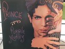 PRINCE PURPLE MEDLEY ????