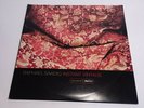 Raphael Saadiq Instant Vintage 2 LPs Promo Universal Records 2002