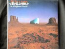 Mallard In A Different Climate Beefheart Magic Band 12