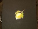 Beyonce How to Make Lemonade Limited Edition Box Set, Vinyl, Coffee Table Book