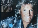 BLUE SYSTEM / SEEDS OF HEAVEN (MODERN TAlKING)