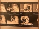 The Beatles - Let it Be... Naked 180g LP includes 7