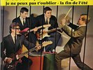 LES PANTHERES - 