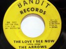 THE ARROWS-THE LOVE I SEE NOW /BOOGEDY ON BANDIT XOVER 45
