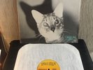 JAWBREAKER Unfun 1990 LP Rare SHREDDER RECORDS Early Pressing in Shrink w/INSERT