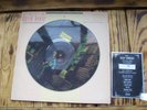 Rare DAVID BOWIE THE RISE & FALL ZIGGY STARDUST PICTURE DISC