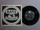 THE RATS Turtle Dove GOODEAR RECORDS 7-inch   Rare Glam   EAR.101