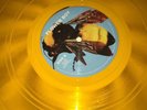 Flower Boy by Tyler, The Creator (Vinyl, Dec-2017, 2 Discs, Columbia (USA))