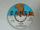 The Hippie Boys - Cat Nip 1969 UK 45 CAMEL SKA/ROCKSTEADY