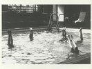 IN AETERNAM VALE - La Piscine - Vinyl (limited coloured vinyl 12