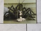 Birth Control ?- Operation, D'71, LP, orginal Ohr, Vinyl: sehr gut OMM 556.015
