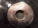 Dot 45 RPM Jungle Fever Thundertones Hot Ice