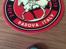 Pearl Jam Sticker and Pin Padova, Italy (24.06.18) RARE