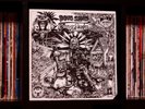 Doug Sahm ? Groover's Paradise ? Rare NEAR MINT 1974 WB True 1st Press Vinyl LP