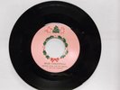 Seymour Swine Blue Christmas 45 RPM Promo Look and Read