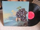 MOBY GRAPE 