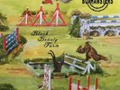 Boxhamsters - Black Beauty Farm – Eine Compilation 2007-2017 - LP + CD