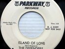 DEFENDERS doowop PARKWAY promo strongVG+ 45 Island Of Love I Laughed So Hard e90