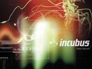Make Yourself [LP] by Incubus (Vinyl, Nov-2012, 2 Discs, Epic)