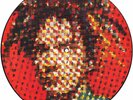 PUBLIC IMAGE LTD DISAPPOINTED LIMITED 12