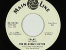 Garage Fuzz 45 - Selective Service - Shake - Main Line - mp3