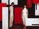 The White Stripes-De Stijl  (US IMPORT)  VINYL NEW
