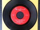 LEMON DROPS I Live In The Springtime KILLER GARAGE FUZZ 45 Rembrandt 5009 BFTG