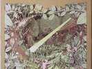 PEKKA POHJOLA Keesojen Lehto LP Prog w/Mike &Sally Oldfield, Pierre Moerlen—Love