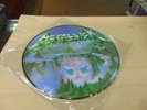 METALLICA  CREEPING DEATH  PICTURE ALBUM