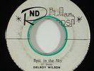 Delroy Wilson/Skatalites 