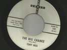 DOOWOP TEEN-- TONY HESS & GROUP-  GONE FOR THE SUMMER  -HEAR BOTH- on CROSS
