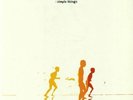 ZERO 7 - Simple Things - Vinyl (180 gram vinyl 2xLP)