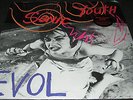 SONIC YOUTH Evol (LP)