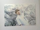 BTS Butterfly Dream Exhibition Photo Jungkook RARE Official cherry blossom