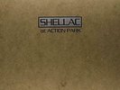 At Action Park - Shellac LP Free Shipping