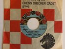 BO DIDDLEY CHUCK BERRY Bo's Beat Chuck's Beat Checker Promo R&B 45 Hear