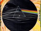 PINK FLOYD DARK SIDE OF THE MOON RARE Vinyl Record Picture Disc