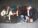 TRES RARE 33T PICTURE DISC JOHNNY HALLYDAY  LES DUOS