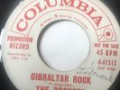 Garage Tittyshaker Promo 45/ The Rockets 