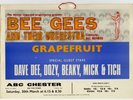 The Bee Gees Original Concer Poster / Window Card 1968 Chester UK