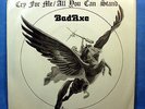 no more available BadAxe [Bad Ax,
