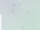 LYCORISCORIS Flight LP NEW VINYL Anjunabeats
