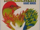 HOELDERLIN: Rare Birds ’77 Germany Spiegelei Jazz Prog OG LP NM Wax