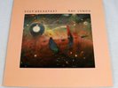 Ray Lynch 1984 Deep Breakfast Promo Vinyl LP Ablum Electro Ambient Music NM/NM