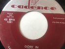 RARE Tittyshaker 45/ Sam Butera 