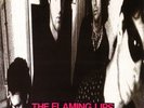 The Flaming Lips In A Priest Driven Ambulance City Slang Vinyl LP